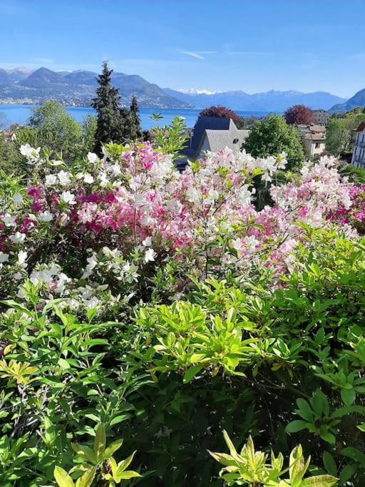 La Finestra Sul Lago - In Villa Con Vista E Posto Auto Coperto Стреза Екстер'єр фото